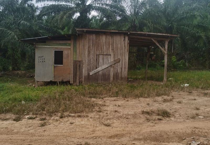 Sook Keningau Palm estate CL 250 Acre