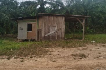 Sook Keningau Palm estate CL 250 Acre