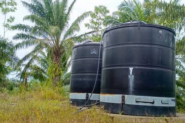 kudat palm estate with mangrove parapat laut land-urgent sell