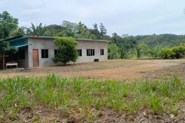kudat palm estate with mangrove parapat laut land-urgent sell