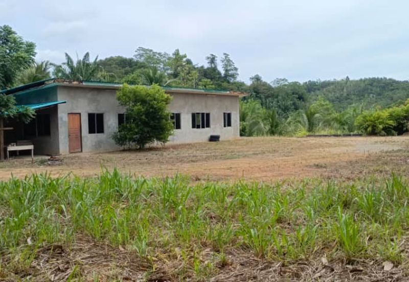 kudat palm estate with mangrove parapat laut land-urgent sell