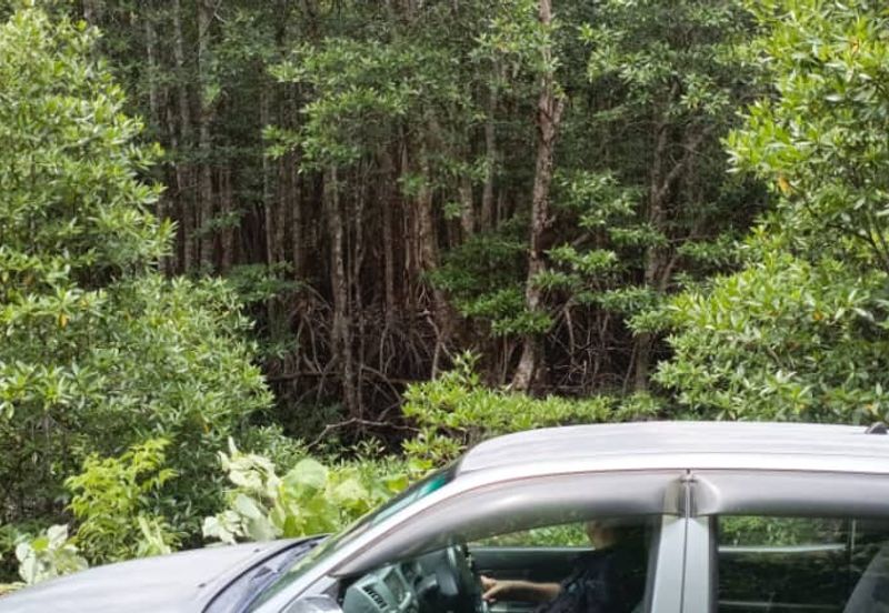 kudat palm estate with mangrove parapat laut land-urgent sell