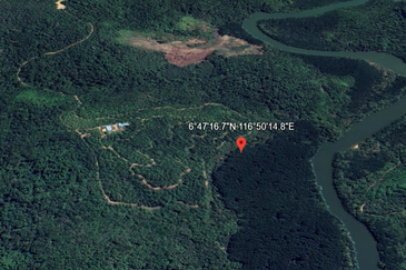 kudat palm estate with mangrove parapat laut land-urgent sell