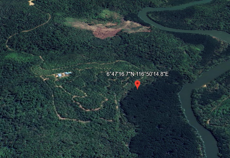 kudat palm estate with mangrove parapat laut land-urgent sell