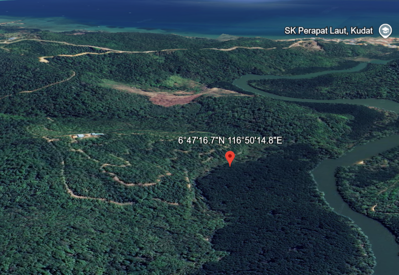 kudat palm estate with mangrove parapat laut land-urgent sell