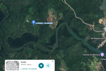 Kudat Parapat laut Palm tree Estate NT14.96 