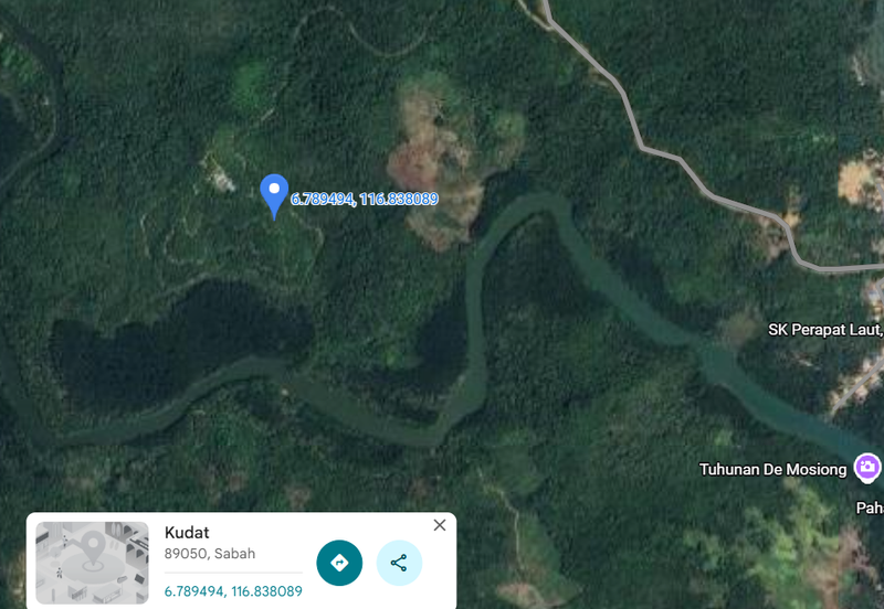 Kudat Parapat laut Palm tree Estate NT14.96 