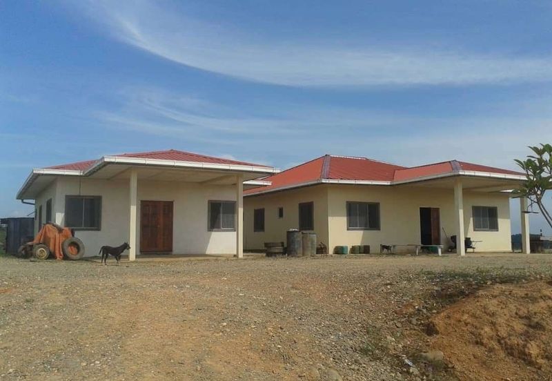 Palm Oil Estate Telupid Sandakan