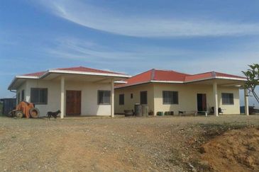 Palm Oil Estate Telupid Sandakan