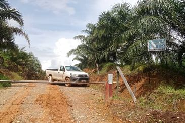 Palm Oil Estate Telupid Sandakan