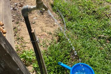 Tuaran Durian Orchard