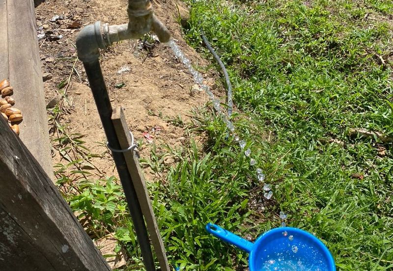 Tuaran Durian Orchard