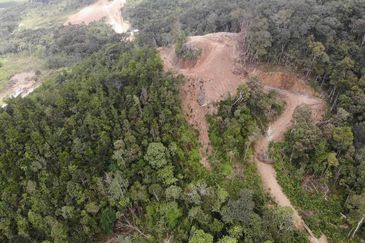 Kundasang Ranau land near Desa Farm