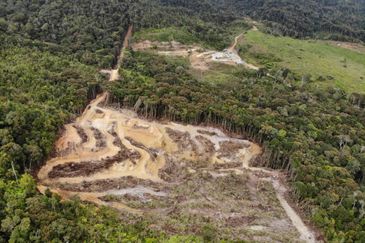 Kundasang Ranau land near Desa Farm