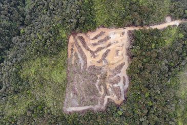 Kundasang Ranau land near Desa Farm