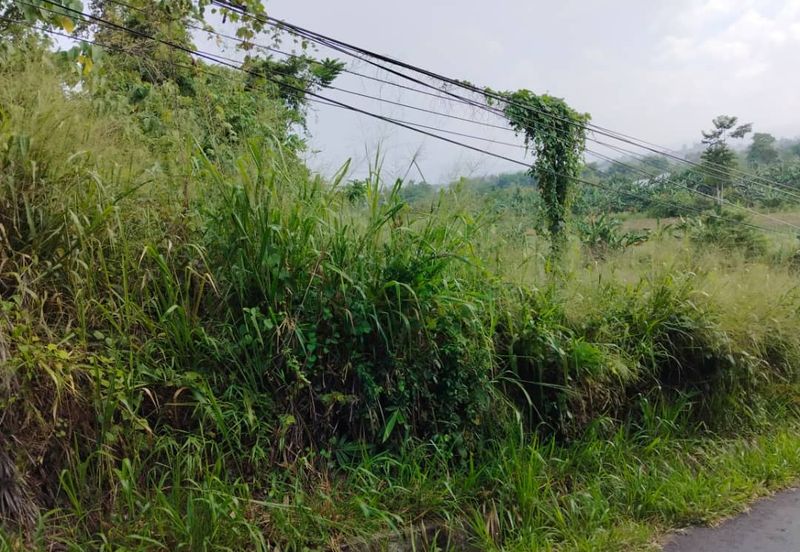 Keningau Land for sale/ rent