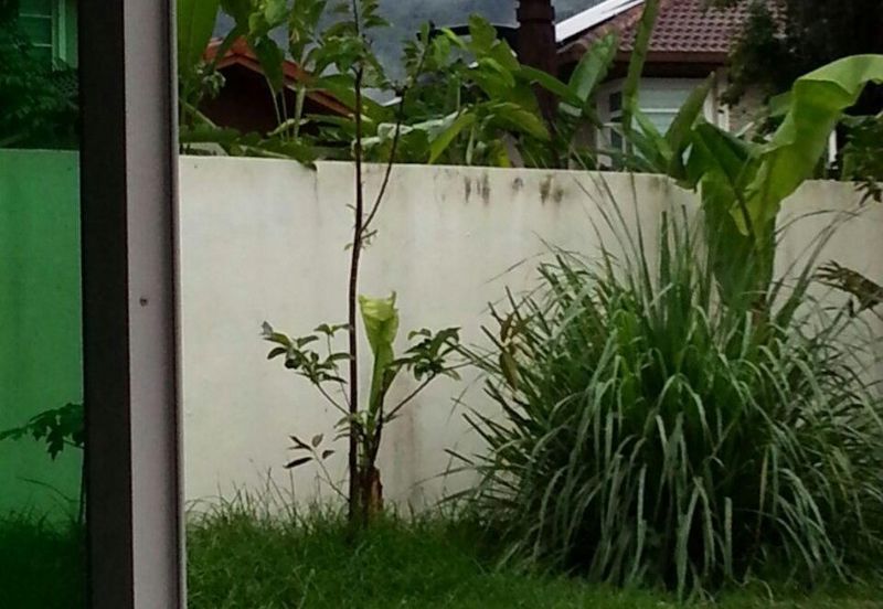 Kianson country heights Inanam Bungalow