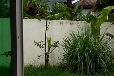 Kianson country heights Inanam Bungalow