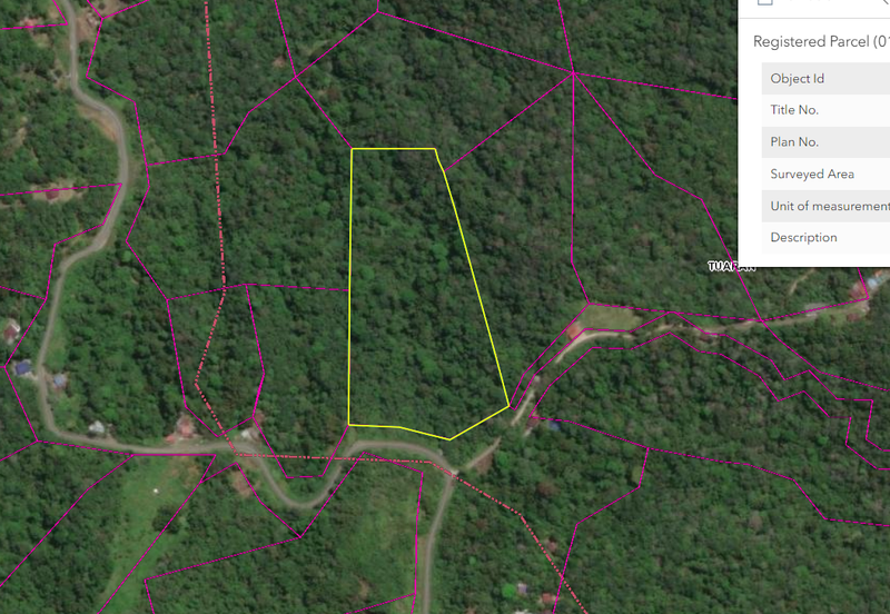 Telipok Hilly Land CL 10 acre with road access