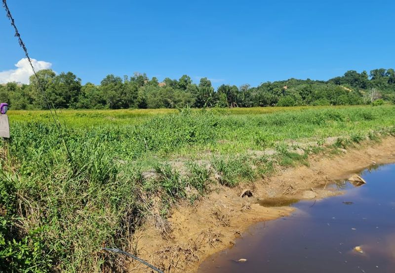 Benoni Papar Flat land NT 1.44 Acre