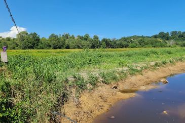 Benoni Papar Flat land NT 1.44 Acre