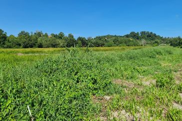 Benoni Papar Flat land NT 1.44 Acre