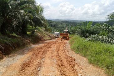 Telupid sandakan sabah Palm estate  CL992 acre