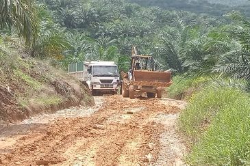 Telupid sandakan sabah Palm estate  CL992 acre