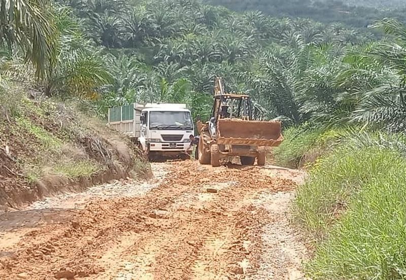 Telupid sandakan sabah Palm estate  CL992 acre
