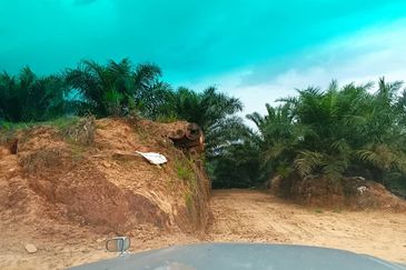 Telupid sandakan sabah Palm estate  CL992 acre