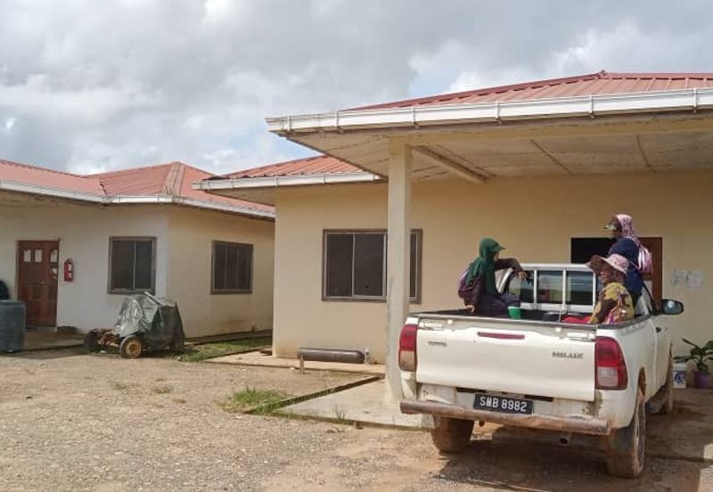 Telupid sandakan sabah Palm estate  CL992 acre