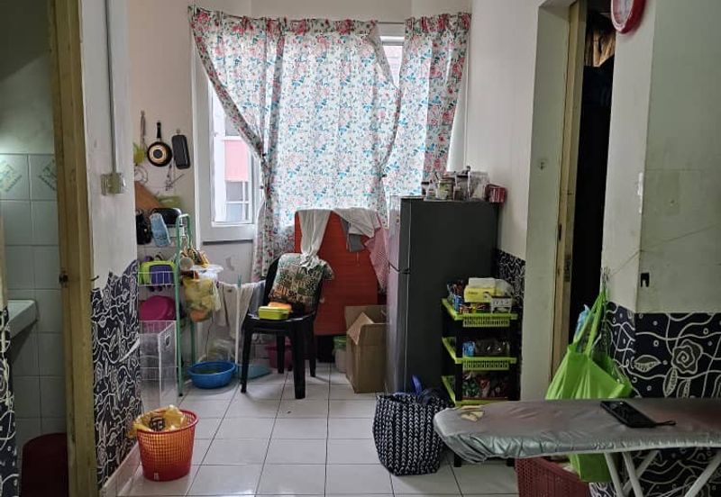 Beverly hills phase 5