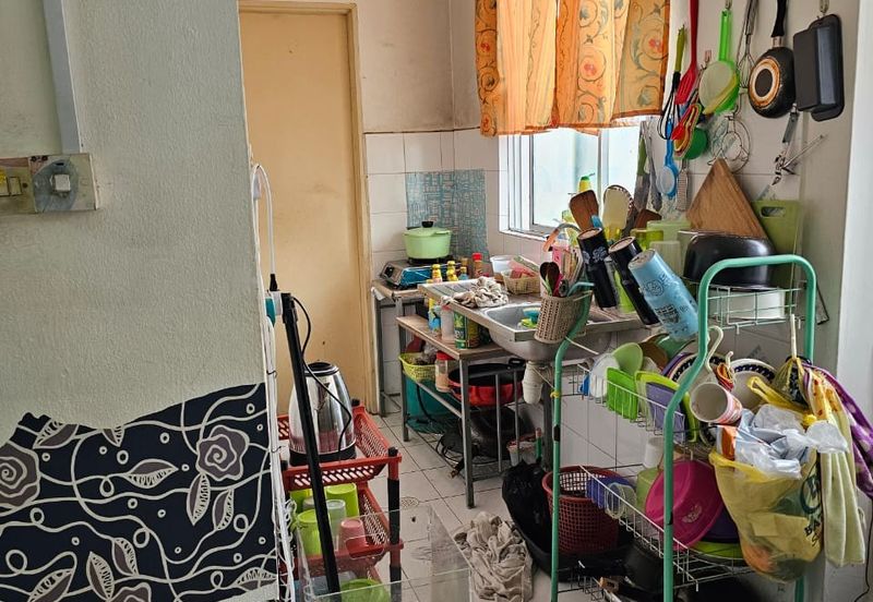 Beverly hills phase 5