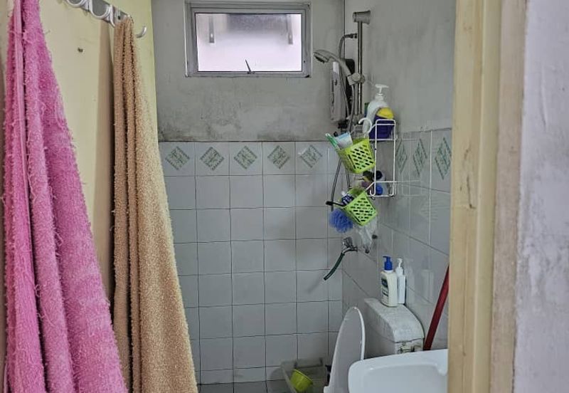 Beverly hills phase 5