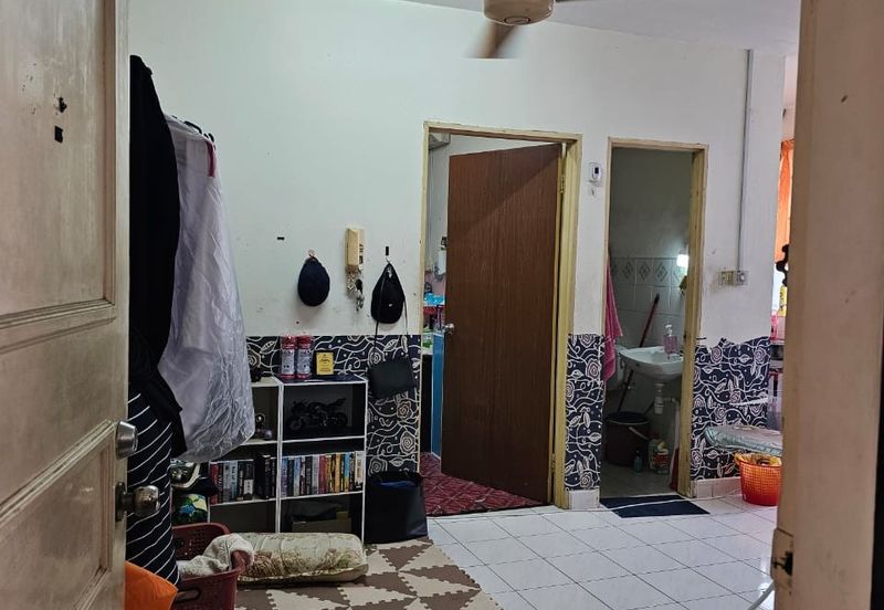 Beverly hills phase 5