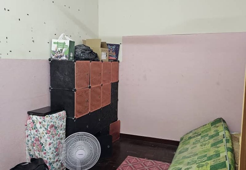 Beverly hills phase 5