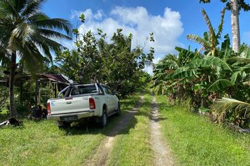 Kudat Land PL 26.61 Acre Agriculture