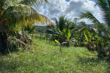 Kudat Land PL 26.61 Acre Agriculture