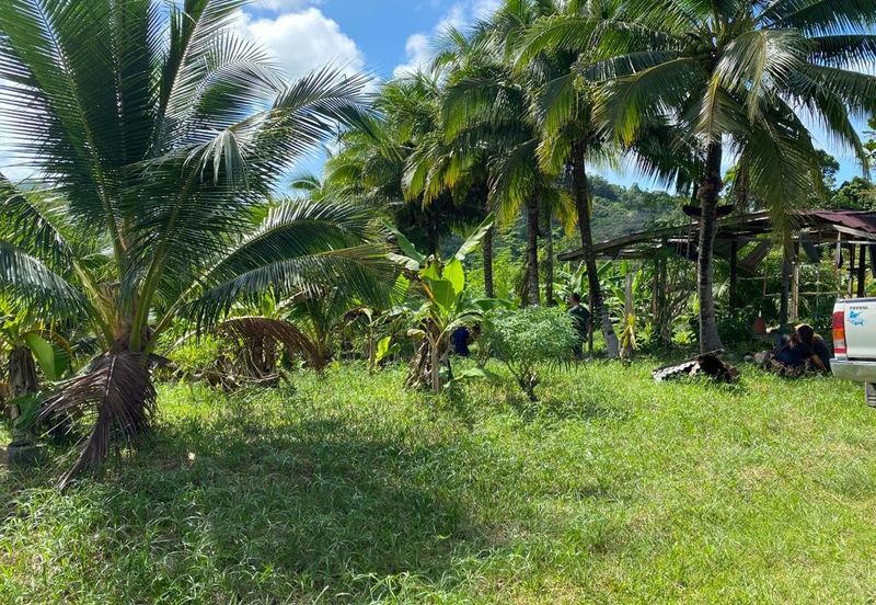 Kudat Land PL 26.61 Acre Agriculture