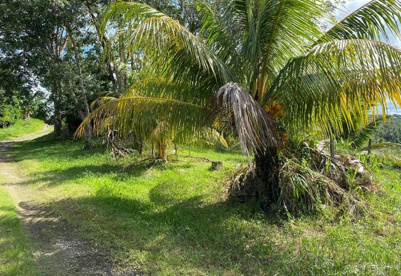 Kudat Land PL 26.61 Acre Agriculture