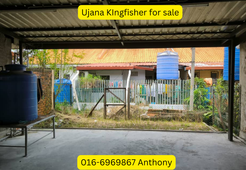 UJANA KINGFISHER