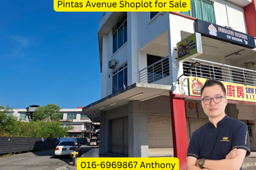 Pintas Avenue