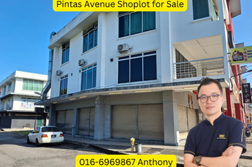 Pintas Avenue