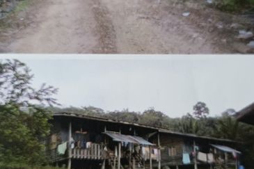 Kota Marudu Estate CL1000