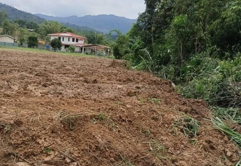 Telipok Land Roadside 