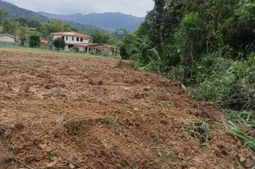 Telipok Land Roadside 