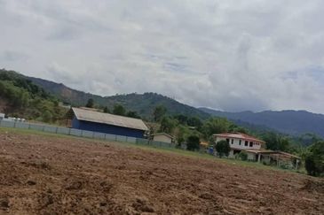 Telipok Land Roadside 