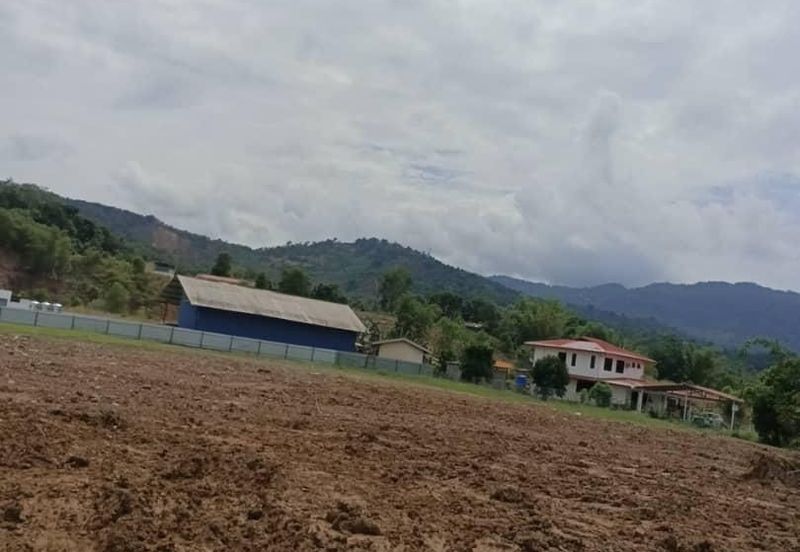 Telipok Land Roadside 