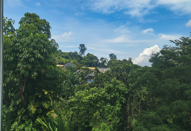 Damansara Heights (Bukit Damansara)