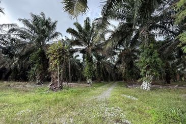 Kawasan Perindustrian Seelong